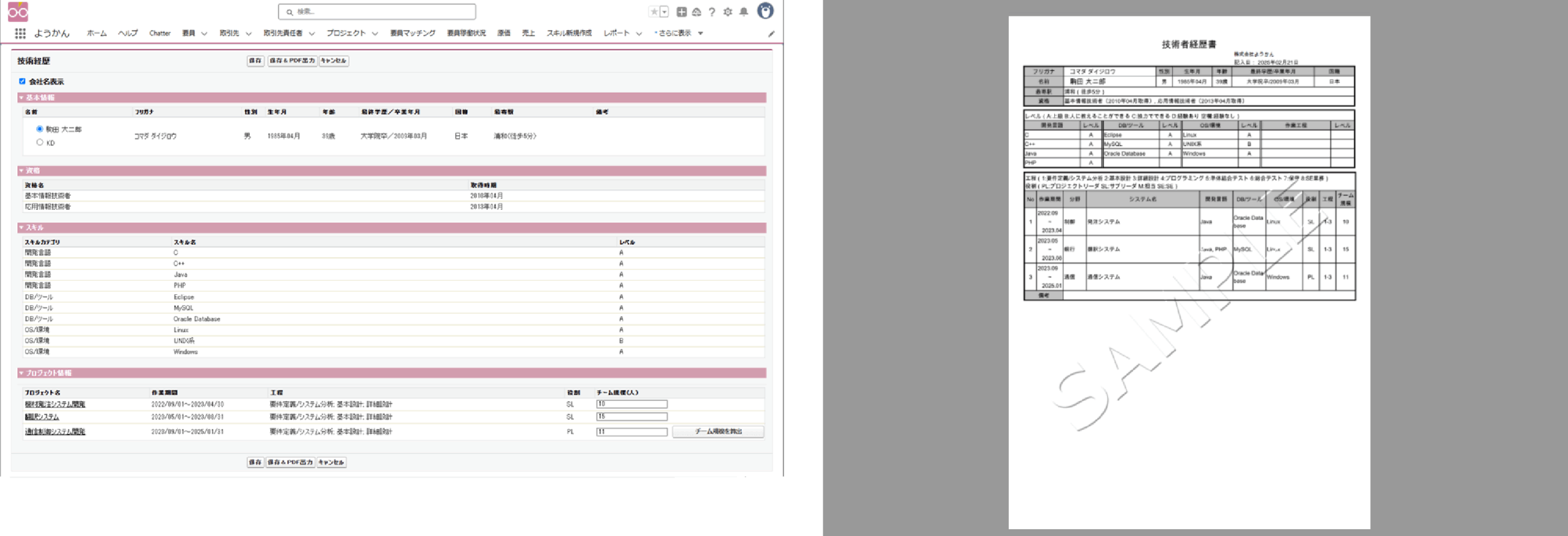 技術経歴書作成画面